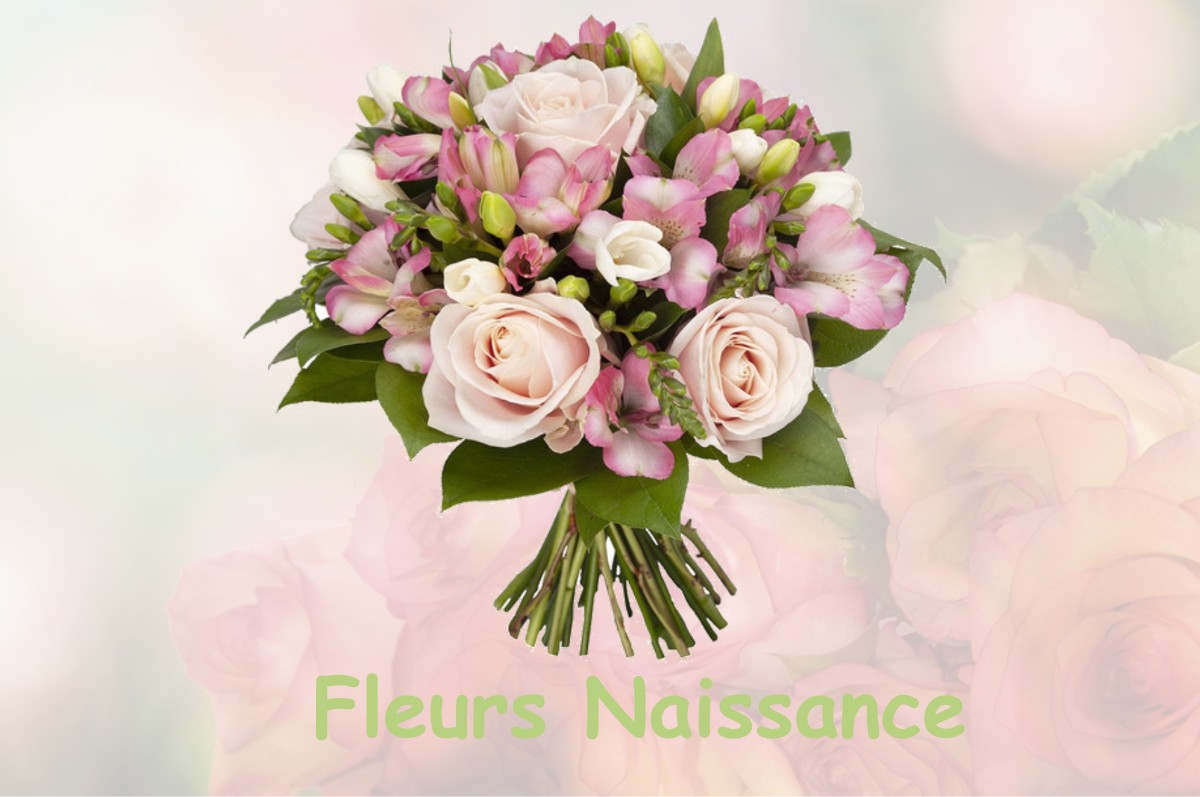 fleurs naissance CHOLONGE